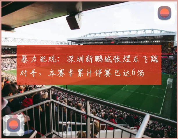 暴力犯规:深圳新鹏城张煜东飞踹对手,本赛季累计停赛已达6场